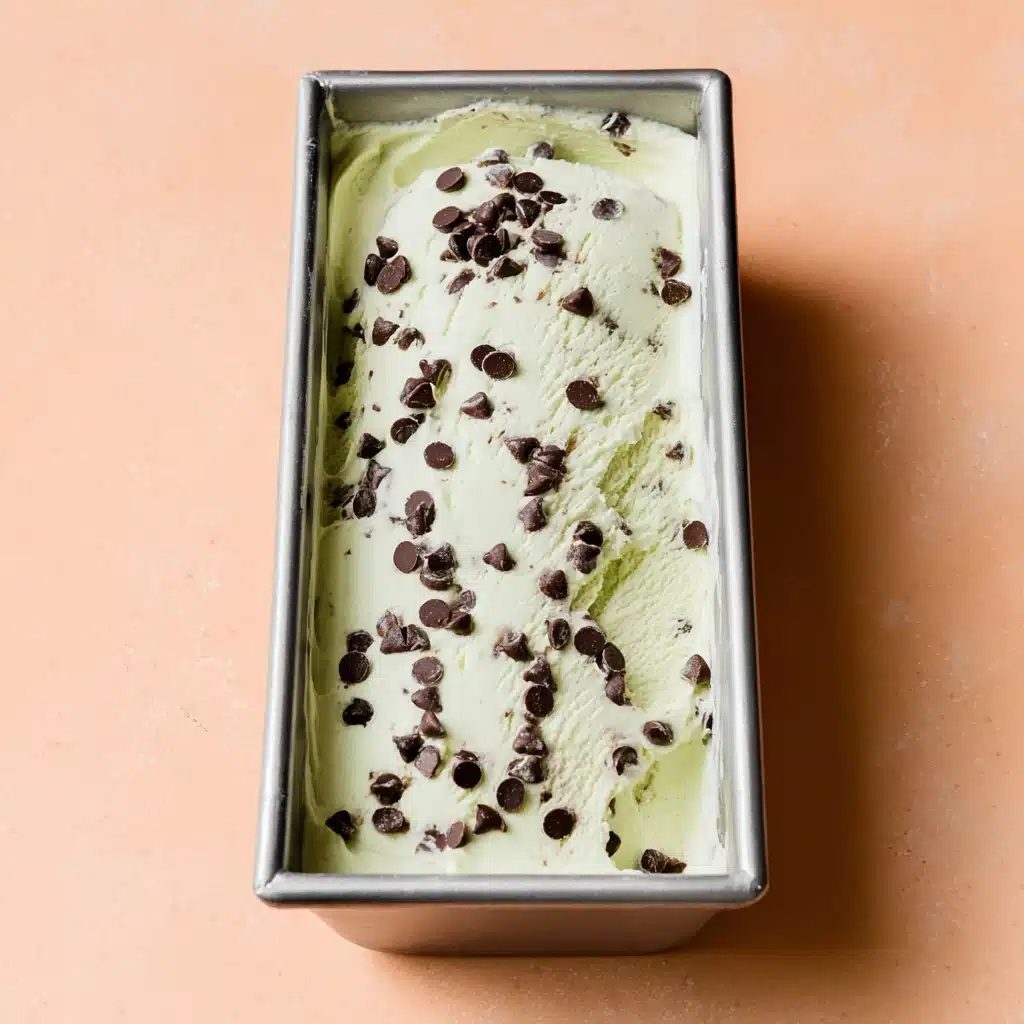 Vegan Mint Chocolate Chip Ice Cream Recipe 5 Vegan Mint Chocolate Chip Ice Cream Recipe - Recipe Image