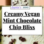Vegan Mint Chocolate Chip Ice Cream Recipe