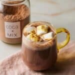 Homemade Dairy-Free Hot Chocolate Mix Recipe