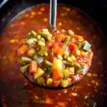 CrockPot V8 Vegetable Soup Recipe