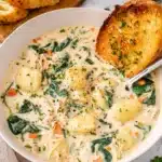 Crockpot Chicken Gnocchi Soup Recipe