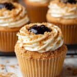 Blueberry Cheesecake Cupcakes Recipe